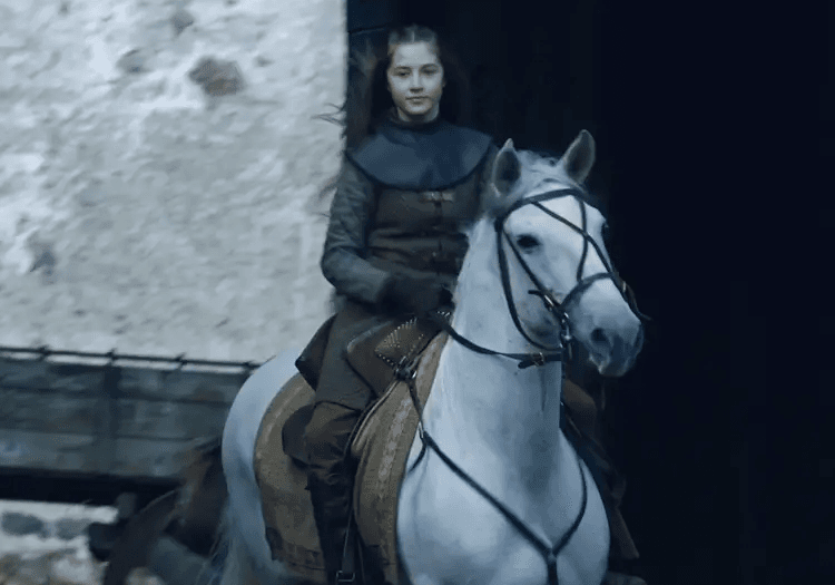 Lyanna Stark was Jon Snow's mother