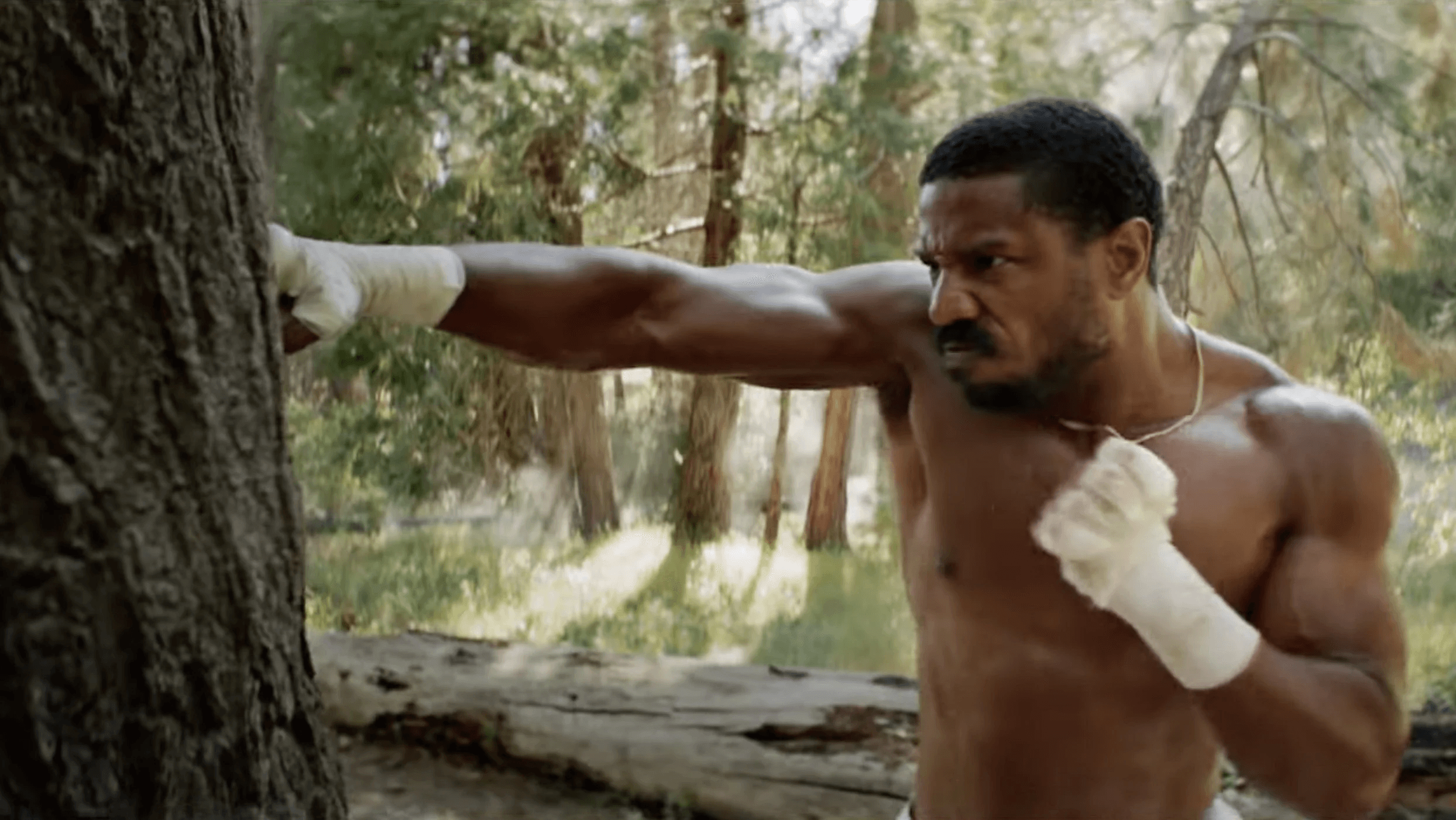 Michael B. Jordan punching a tree in Creed