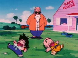 Master Roshi & Goku/Krillin