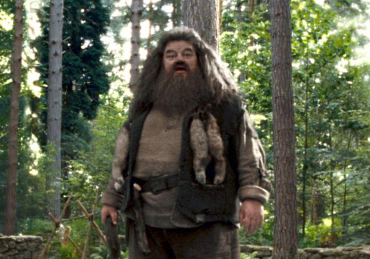Rubeus Hagrid