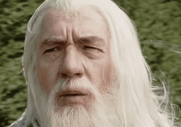Sir Ian McKellen as Gandalf
