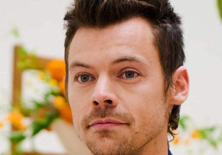 somethings-up-harry-styles