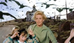 The Birds