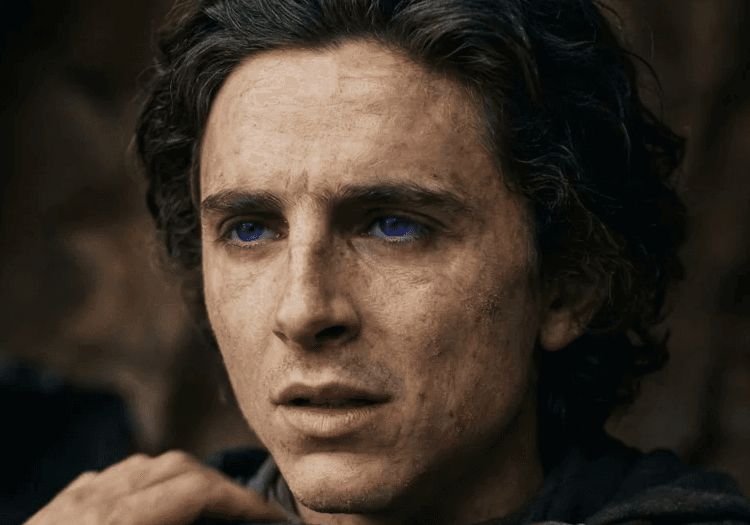 Timothee Chalamet in Dune