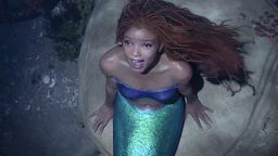 The Little Mermaid