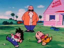 Master Roshi & Goku/Krillin