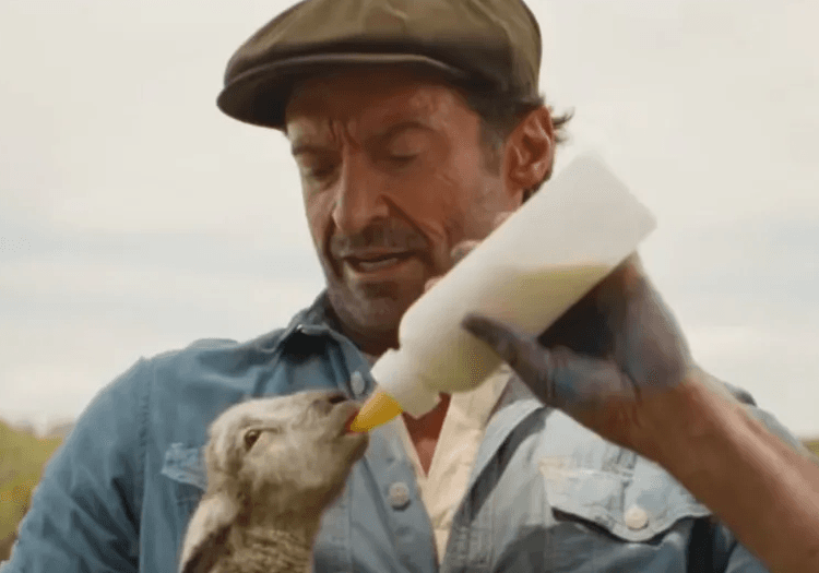The Sheep Detectives